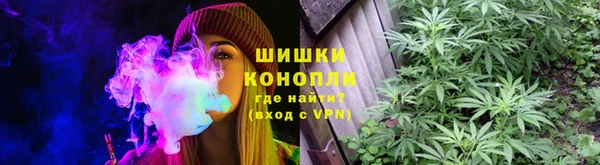 бутират Богданович