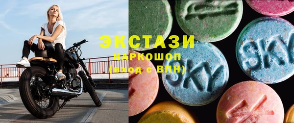 гашик Богородск