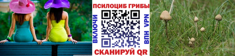 где продают   Тобольск  Галлюциногенные грибы Magic Shrooms 